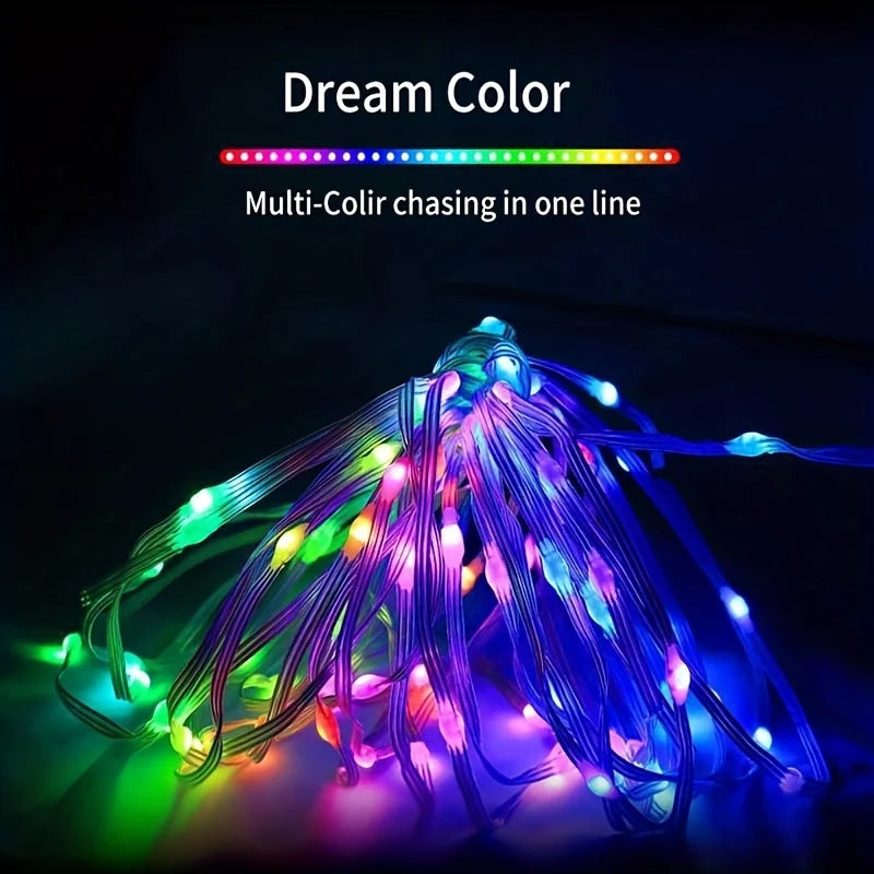 WS2812B RGB LED String 20m 10m 5m DIY Smart IC APP Bluetooth Remote Fairy Lights Dreamcolor Garden Party Christmas Wedding Decor